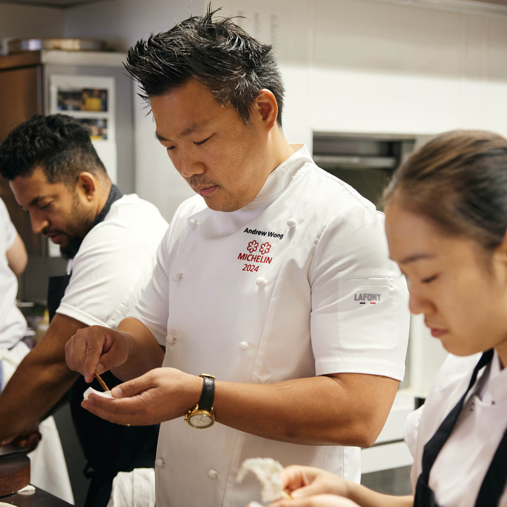 Veste PLATINE homme manches courtes